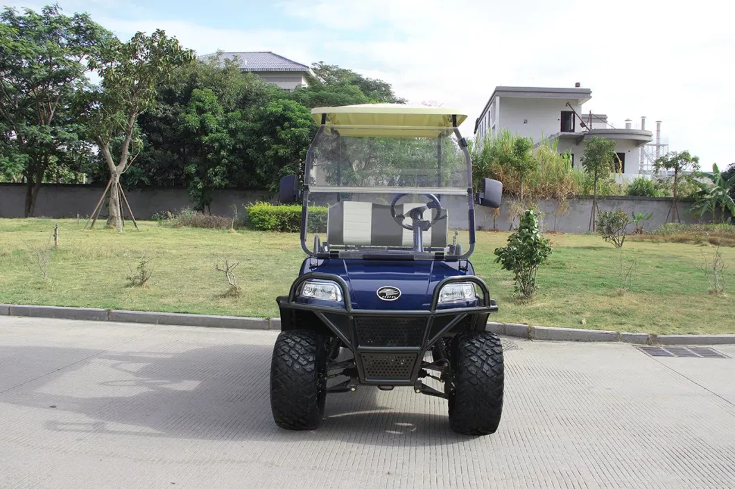 Hdk China LiFePO4 Lithium Battery Golf Cart