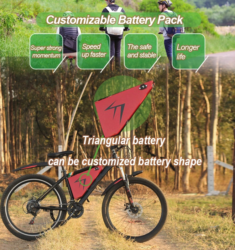 Lws Wholesale Factory Price 48V 15ah Energy Storage Rechargeable Electric Bicycles Scooters Battery Lithium Battery Pack