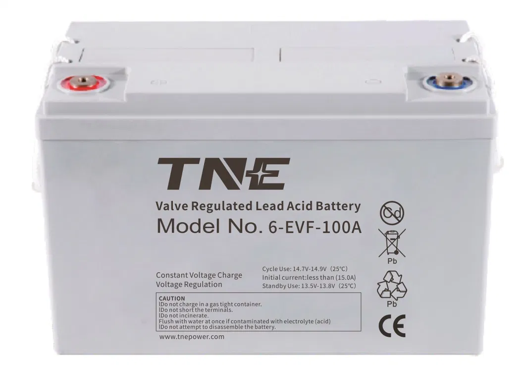 Tne 6-Evf-100 Deep Cycle 12V 100ah Motive EV Battery for Scrubber Golf Cart Excavator