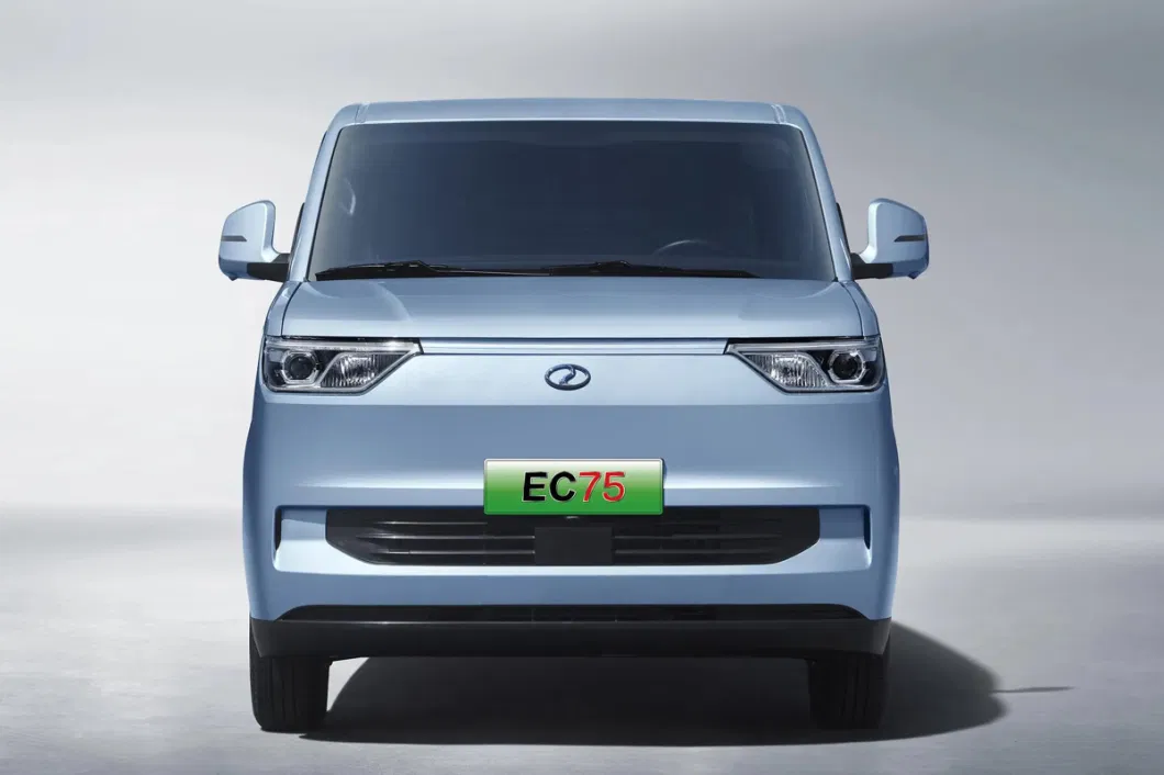 Ruichi New Energy Ec75 New Energy EV Van with Large Space