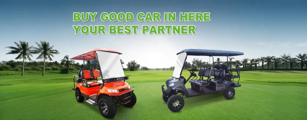 Push 48V 100ah LiFePO4 Battery 1 Solar Panel Carts Electric 2 Seat Front Axle Golf Cart Japan