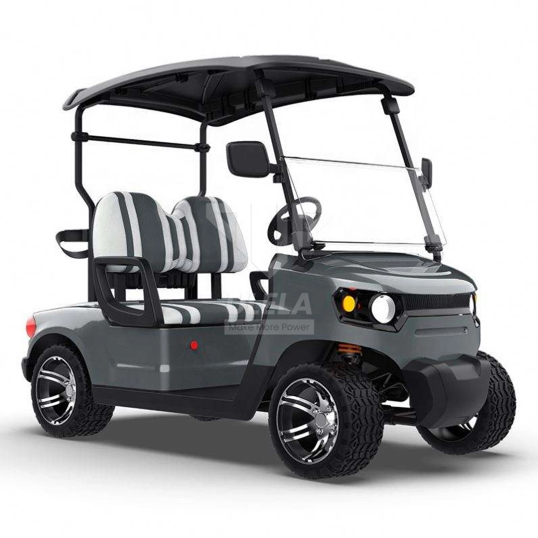 Ulela Largest Golf Cart Dealer Blackwhiteredgreenblue Train Golf Cart China 2 Seater 36V Lithium Battery Golf Cart