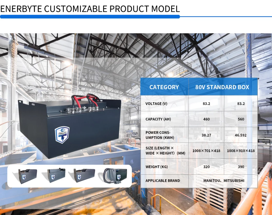 Lithium Battery/ Electric Vehicle Battery /Forklift Battery/ Rechargeable Battery / Li-ion Battery/ LiFePO4 Battery Pack 48V300ah with Battery Charger