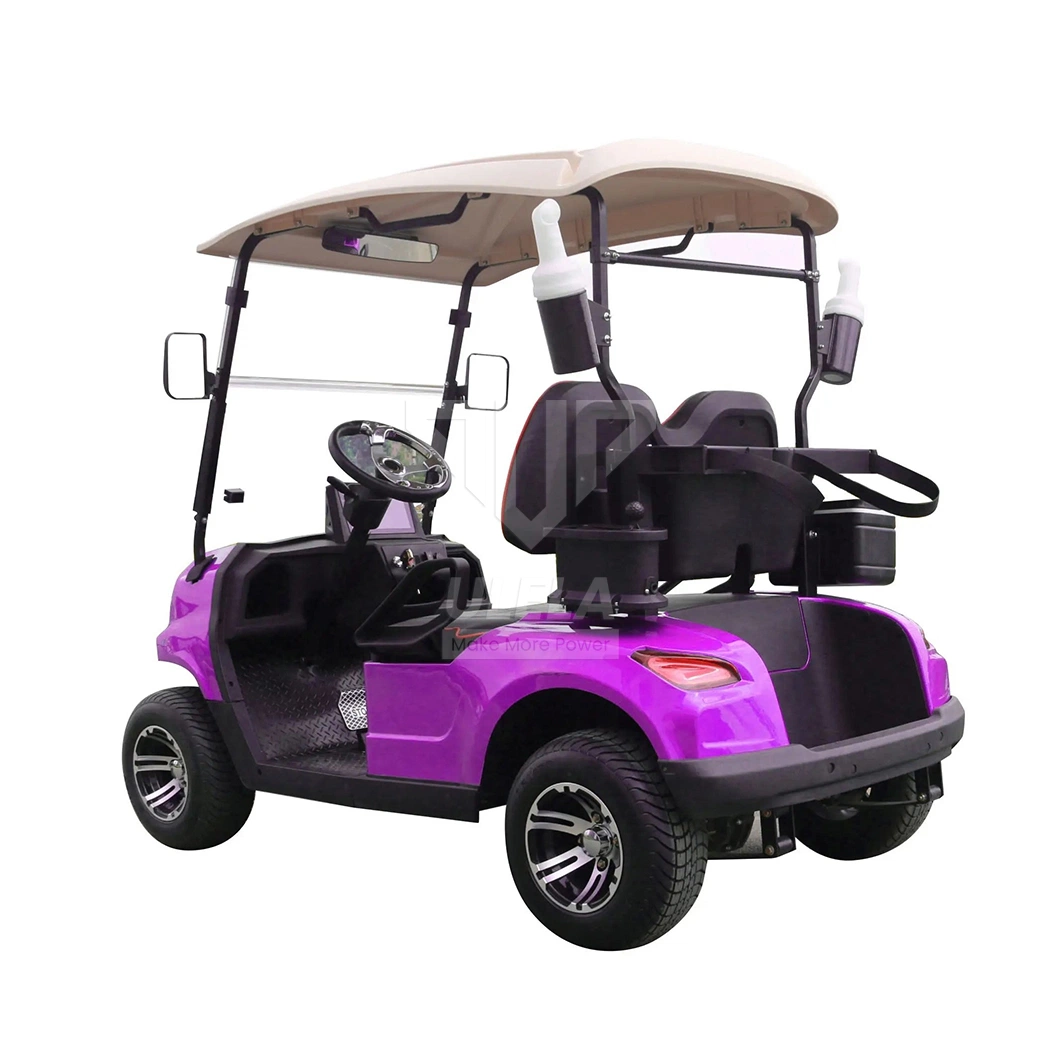 Ulela Largest Golf Cart Dealer Blackwhiteredgreenblue Train Golf Cart China 2 Seater 36V Lithium Battery Golf Cart