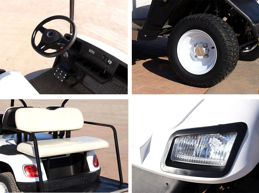 Supply 4 Seater Electric Golf Cart with Best Price