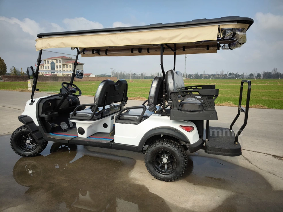 Best Price Lithium Battery Golf Cart 48V Adults Scooter Solar Panels Powered 6/4 Seater off Road Beach Buggy Electric Golf Cart