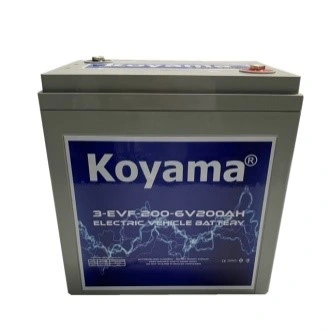 12V 150ah Deep Cycle Golf Cart Batteries T1275