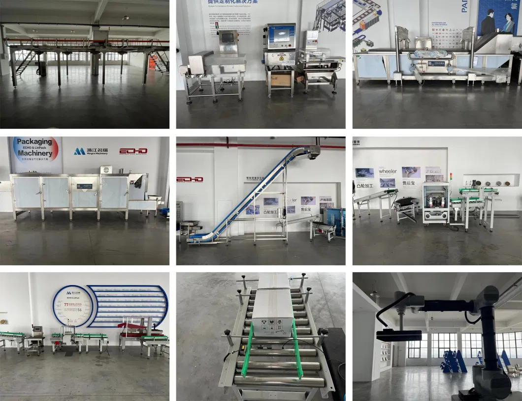 Centralized Factory Multi-Category Automatic Weighing and Filling Packaging Line Solution