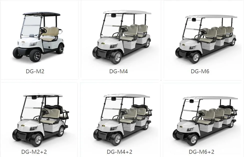 Marshell New Product Battery Golf Buggy 2 Seater Golf Course Golf Cart (DG-M2)