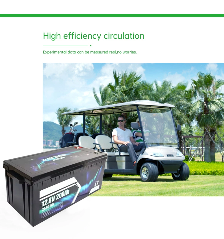 12.8V 200ah Lithium Ion Rechargeable Battery Portable Power Storage LiFePO4 Battery