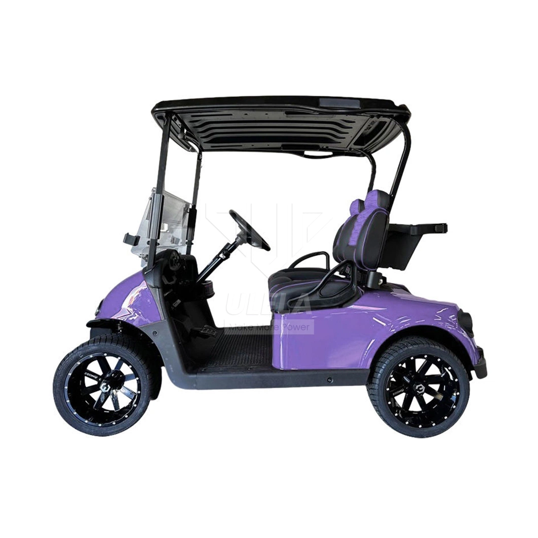 Ulela Largest Golf Cart Dealer Blackwhiteredgreenblue Train Golf Cart China 2 Seater 36V Lithium Battery Golf Cart