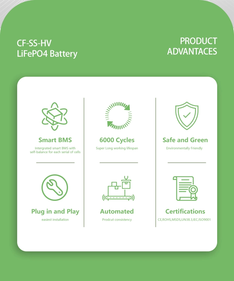 Champion Superior Hv 51.2V 200ah Energy Storae Batteries with LiFePO4 Pack Battery 6000 Cycles and CE