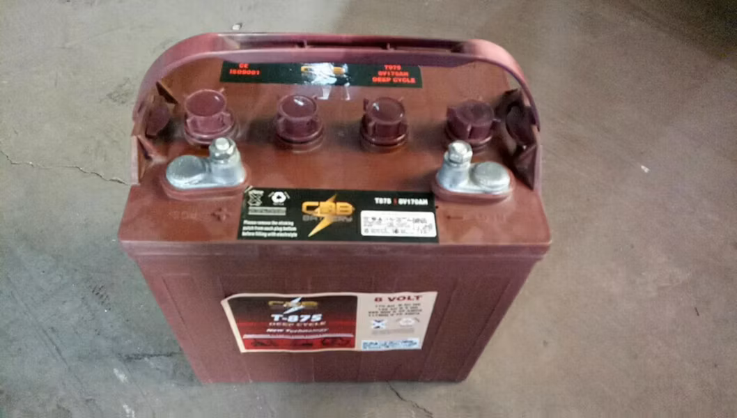 Trojan T875 8V 170ah Deep Cycle Tubular Battery for Golf Cart