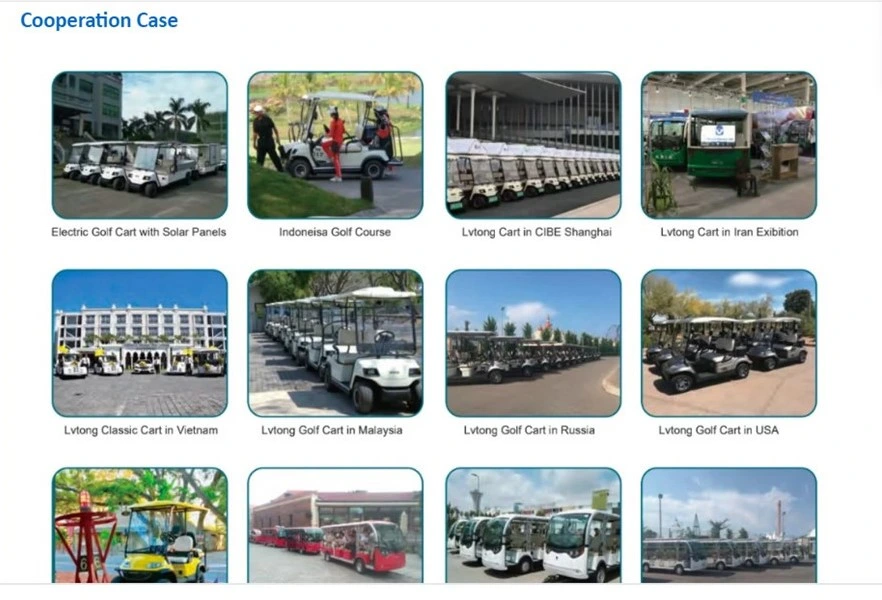 LiFePO4 Shanghai Dachi 8 Seat Cheap Lithium Battery Golf Cart