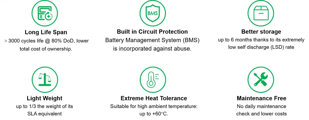 12V 200ah LiFePO4 Lithium Ion Rechargeable Battery Pack for Low Temperature