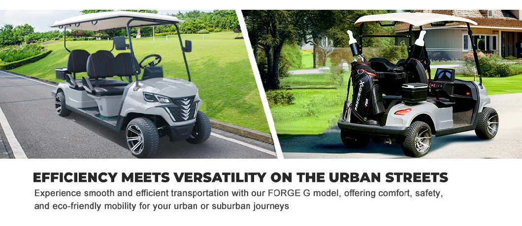 Factory Price Lithium Battery Forge G4 Electric Golf Cart Golf Buggy 4 Seater