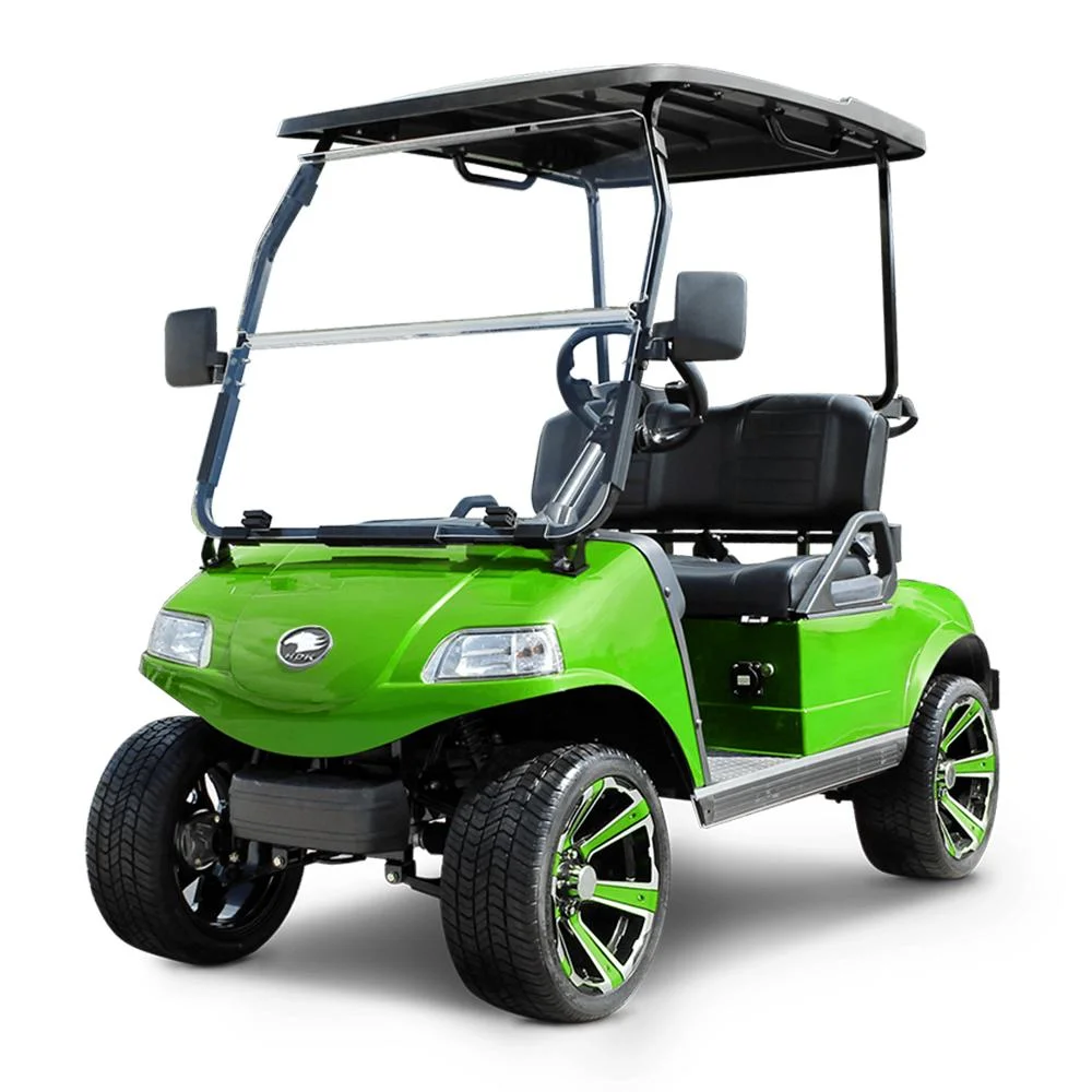 2 Seaters LiFePO4 Battery Green Golf Buggy Utility Cart