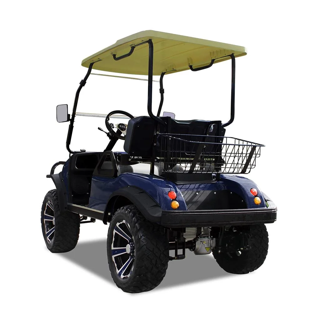 Hdk China LiFePO4 Lithium Battery Golf Cart