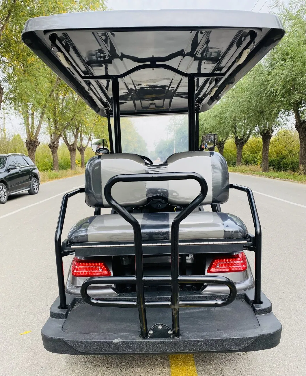 6 Passenger off-Road Gray Electric Electric Vehicle Cart for Sale