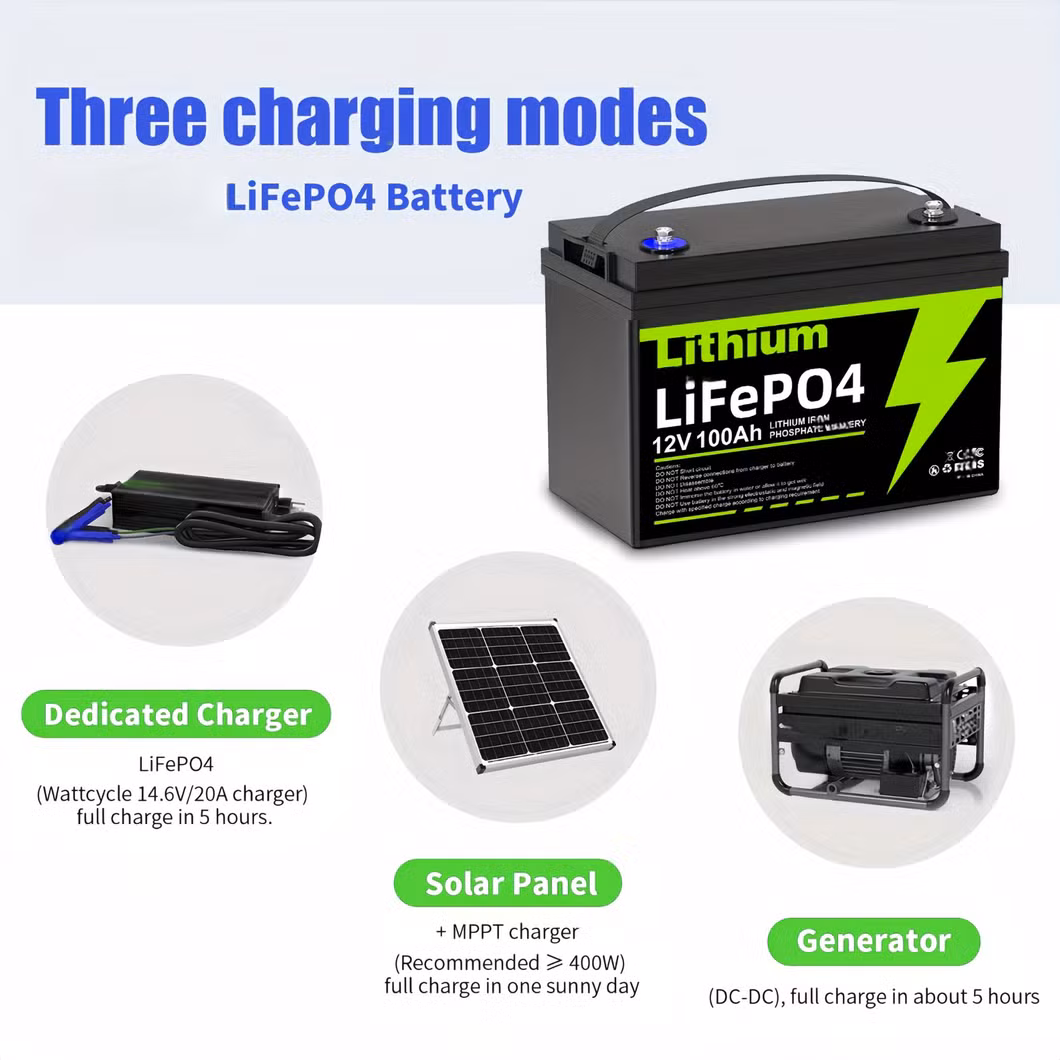 Factory Customization LiFePO4 Smart Battery Pack 12V 12.8V 100ah for Solar Storage System/Golf Cart/RV/Marine/Camper/Trailer/LED Light