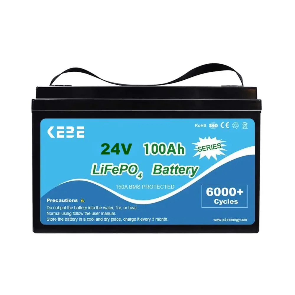 Hot Selling Wholesale 24 Volt Lithium Ion Batterie 100ah LiFePO4 Battery 24V 100ah Golf Cart Batteries