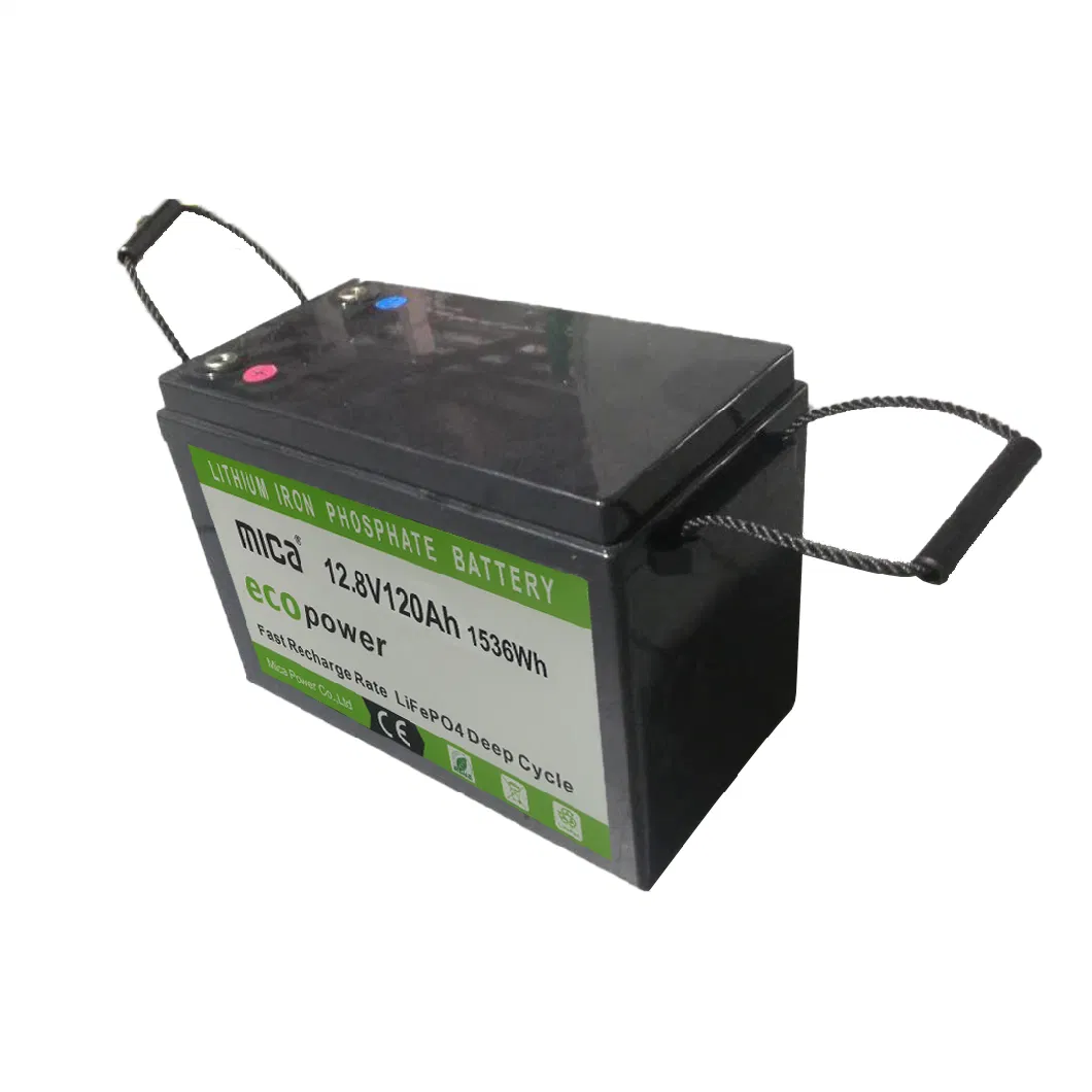 2-Seat Electric Vehicle Golf Cart Trolley 12V 120ah Lithium Battery 48V 120ah LiFePO4 Deep Cycle Battery Pack