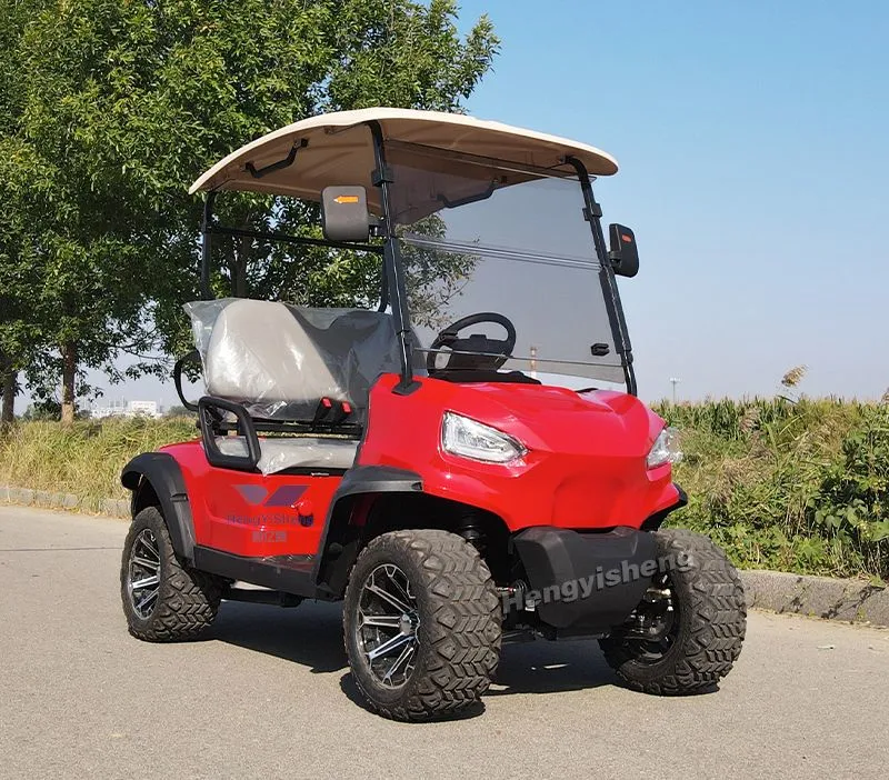 Classic 2 Seater Electric Golf Carts 48V4kw AC System Folding Golf Carts