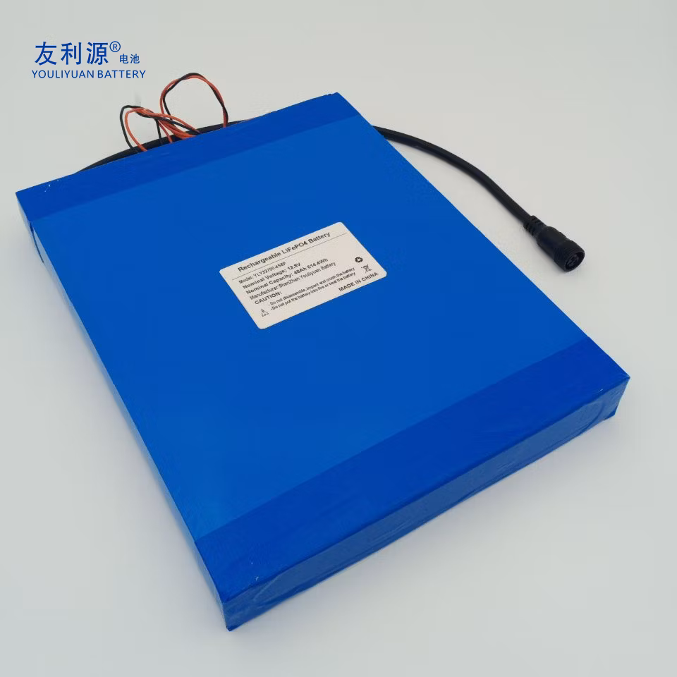 Manufacturer Storage Battery OEM ODM 24V Battery 12.8V 48ah 4s8p LFP Battery with Solar LED Light/RV/Storage System/Golf Cart/Ya Un38.3 Rose