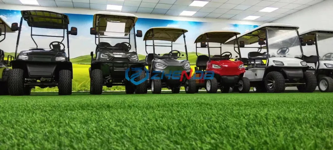 23 New High Quality Electric Golf Carts/Low Noise Long Life Golf Carts for Sale