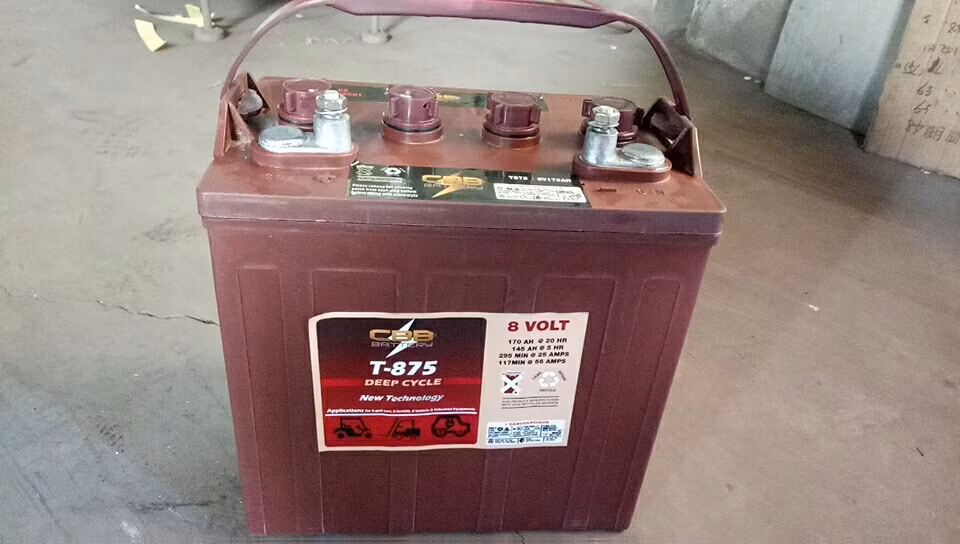 Trojan T875 8V 170ah Deep Cycle Tubular Battery for Golf Cart
