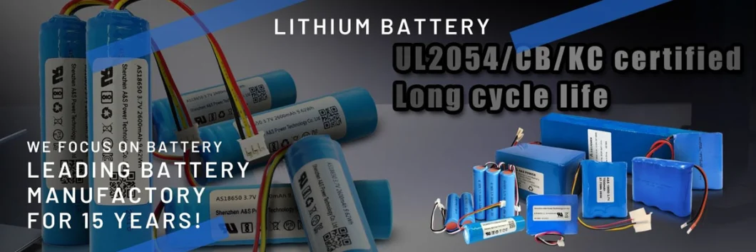 18650 Rechargeable Lithium Ion Battery 7.4V 2600mAh Li-ion Battery Pack for Medical Device