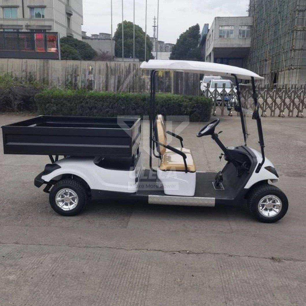 Ulela Largest Golf Cart Dealer Blackwhiteredgreenblue Train Golf Cart China 2 Seater 36V Lithium Battery Golf Cart