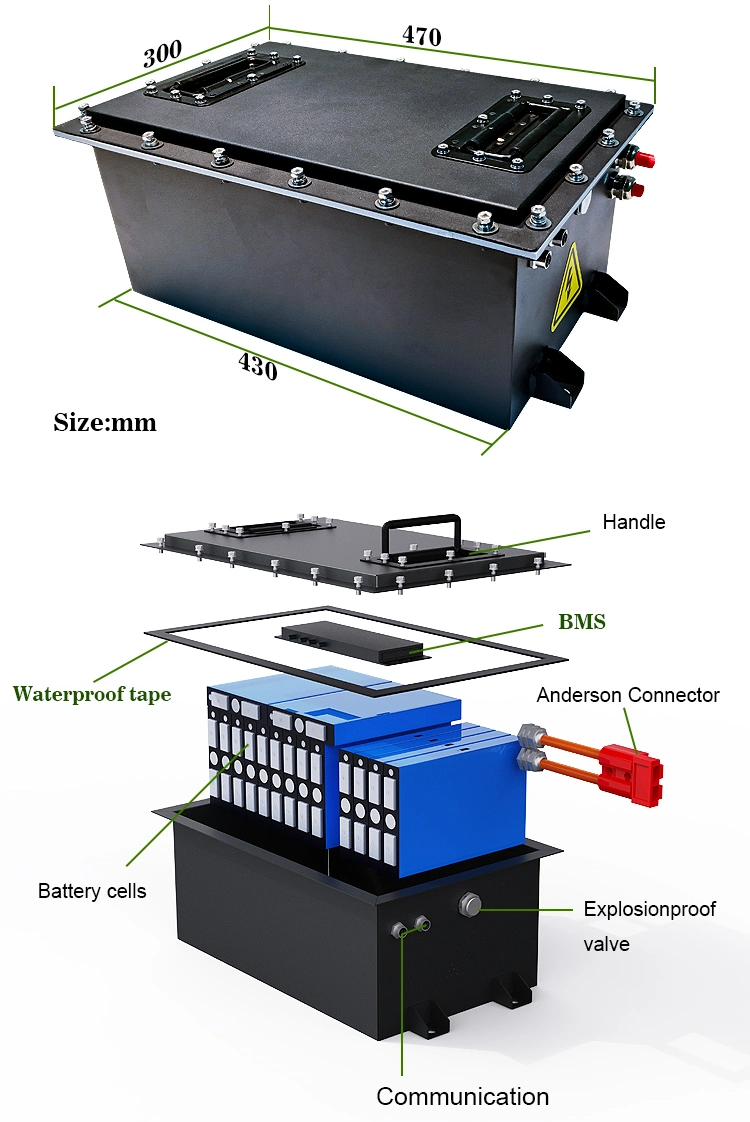 Cts OEM Rechargeable Golf Cart Power Lithium Ion Battery 48V 80ah 160ah, Li-ion 48V 36V Battery Customized