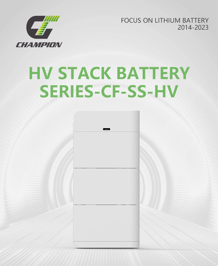 Champion Superior Hv 51.2V 200ah Energy Storae Batteries with LiFePO4 Pack Battery 6000 Cycles and CE