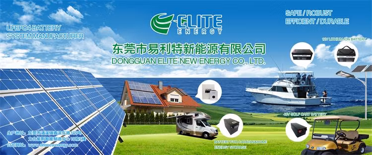 Elite Excellent Performance Lithium-Ion Battery LiFePO4 24V 200ah Forklift Rechargeable Battery for Telecom/Golf Car/Boat LiFePO4 Battery Pack