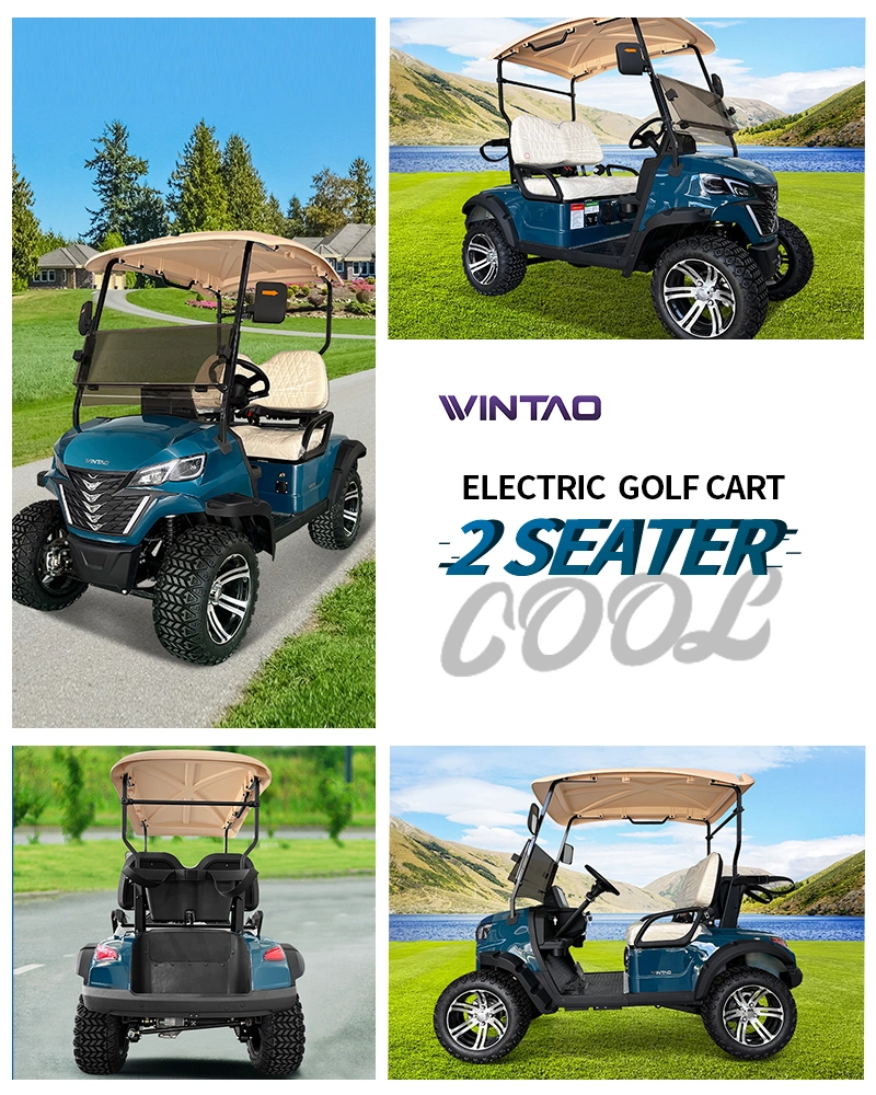 Wintao 72V Lithium Battery 2-Seater Electric Golf Cart