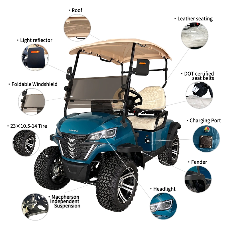 Wintao 72V Lithium Battery 2-Seater Electric Golf Cart