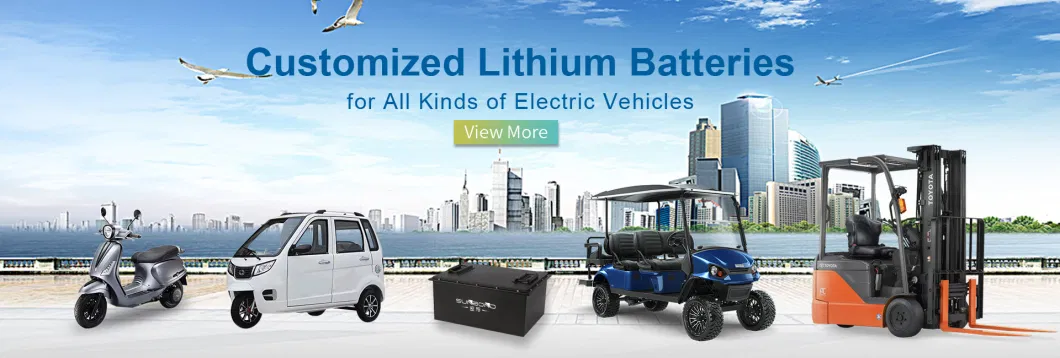 24V 48V 60V 72V 50ah 60ah 50ah Electric Motorcycle Lithium Battery Pack for Tricycle Agv Forklift Cleaning Robot Golf Cart