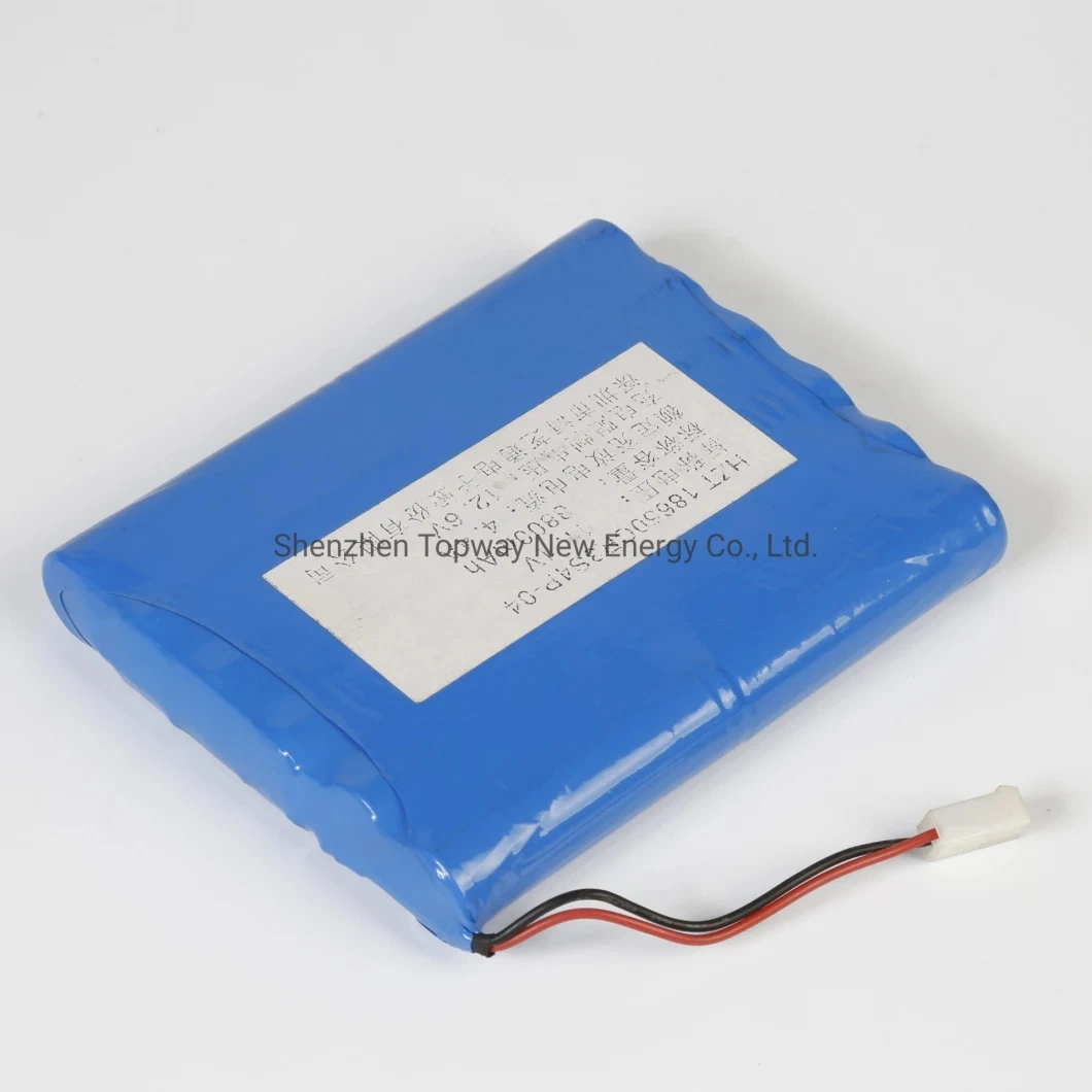 48V 60V 72V 10ah 20ah 30ah 50ah 70ah 90ah Agv E-Bike Battery Pack Customizable 18650 Lithium-Ion Battery for Electric Tricycles Electric Scooters Agvs