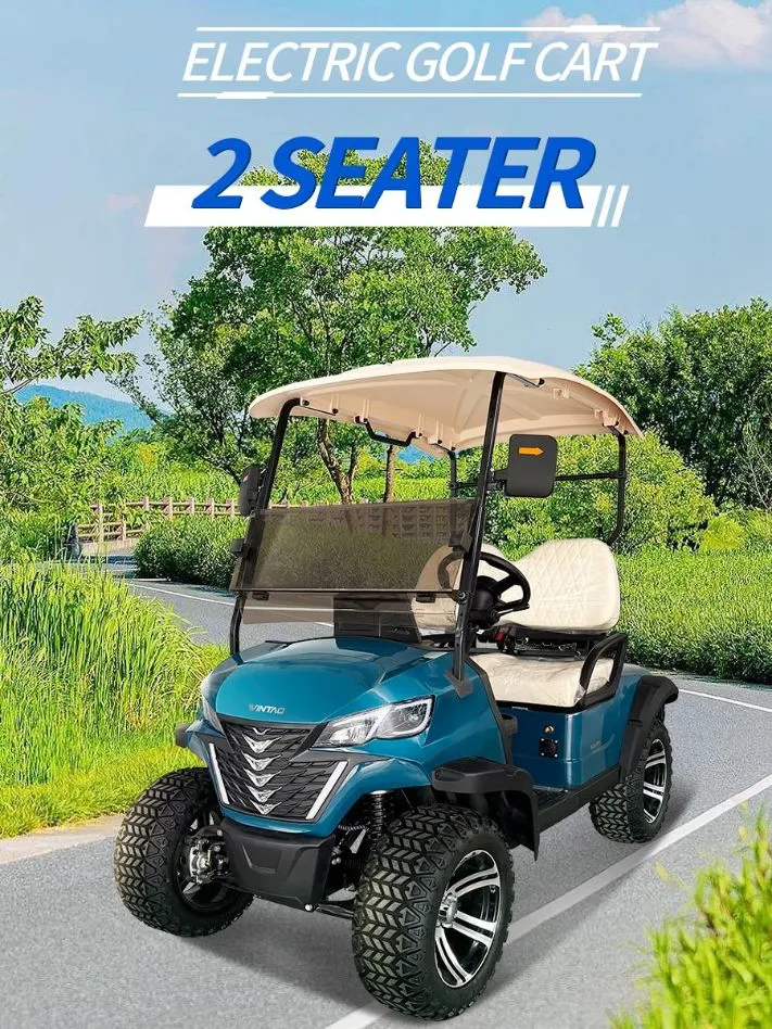 Wintao 72V Lithium Battery 2-Seater Electric Golf Cart