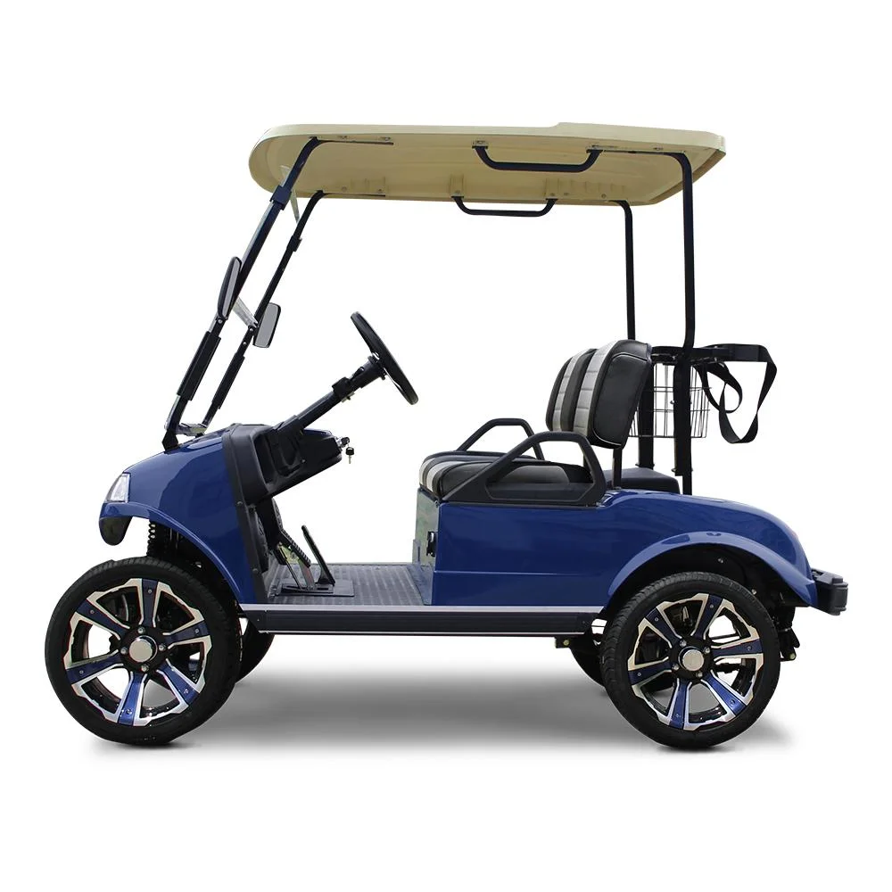 2 Seaters LiFePO4 Battery Green Golf Buggy Utility Cart