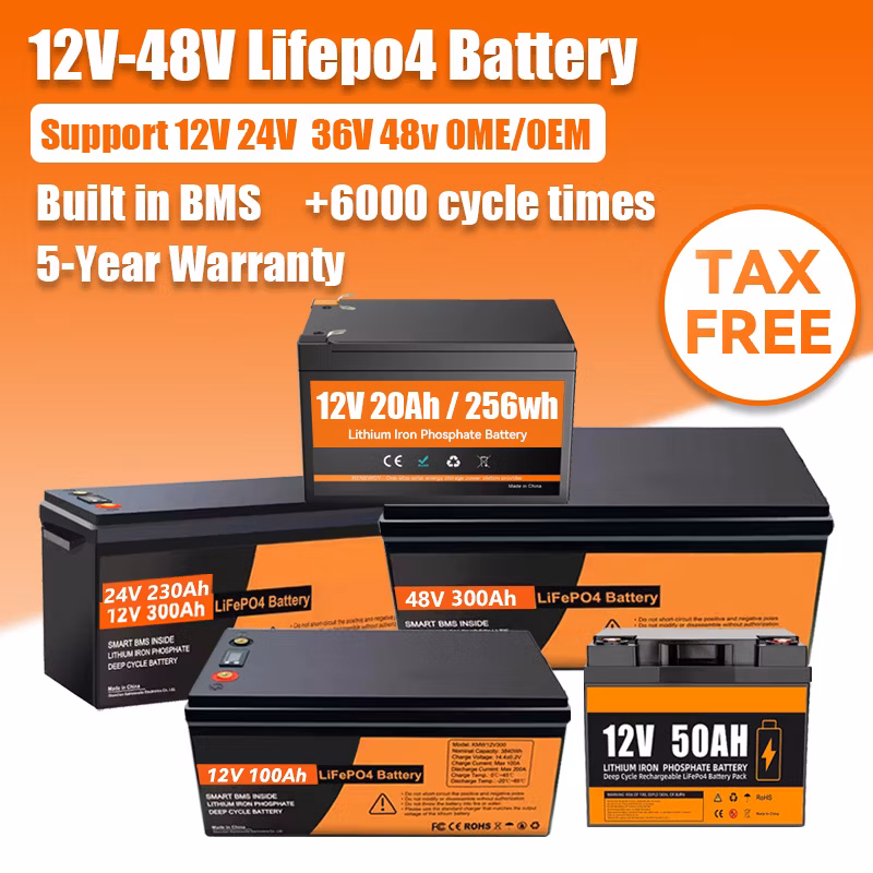 24V 300ah Lithium Battery Customized 12V 36V 48V 50ah 100ah 200ah 230ah 280ah LiFePO4 Battery for Electric Forklift Energy Storage System