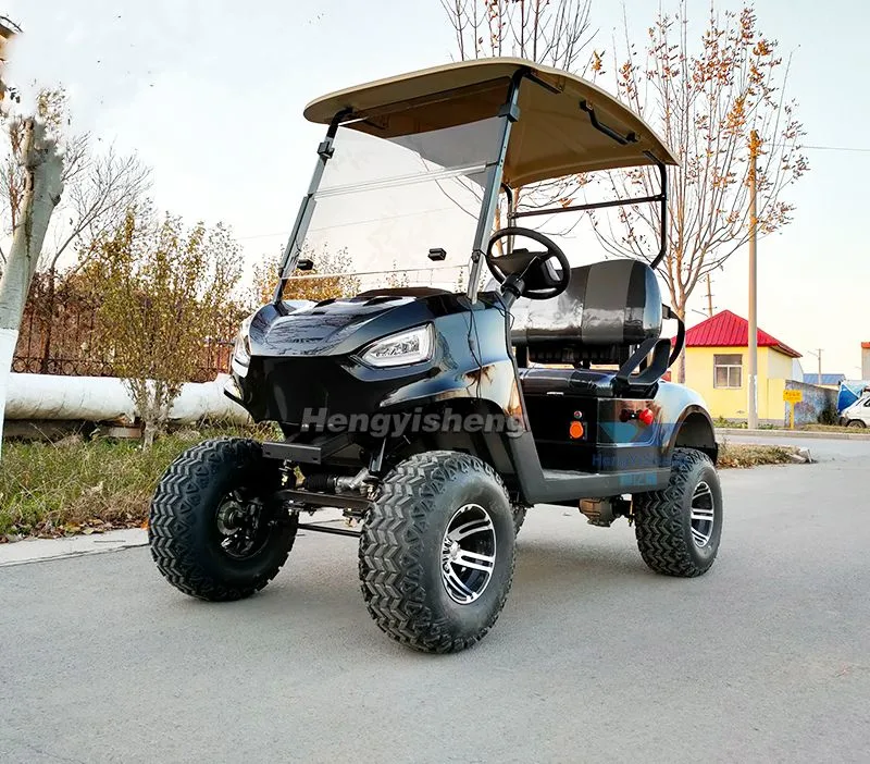 Classic 2 Seater Electric Golf Carts 48V4kw AC System Folding Golf Carts