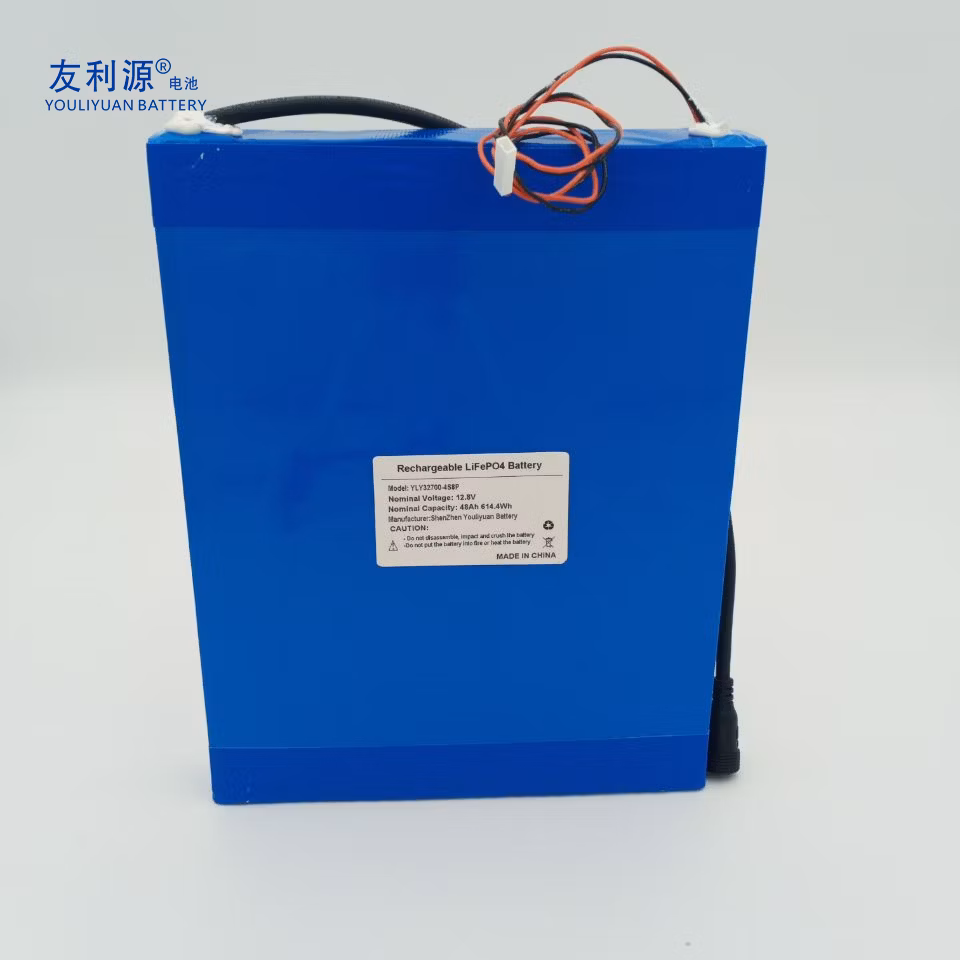 Manufacturer Storage Battery OEM ODM 24V Battery 12.8V 48ah 4s8p LFP Battery with Solar LED Light/RV/Storage System/Golf Cart/Ya Un38.3 Rose