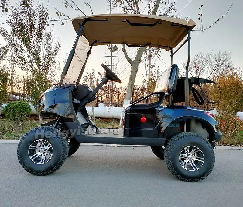 Classic 2 Seater Electric Golf Carts 48V4kw AC System Folding Golf Carts