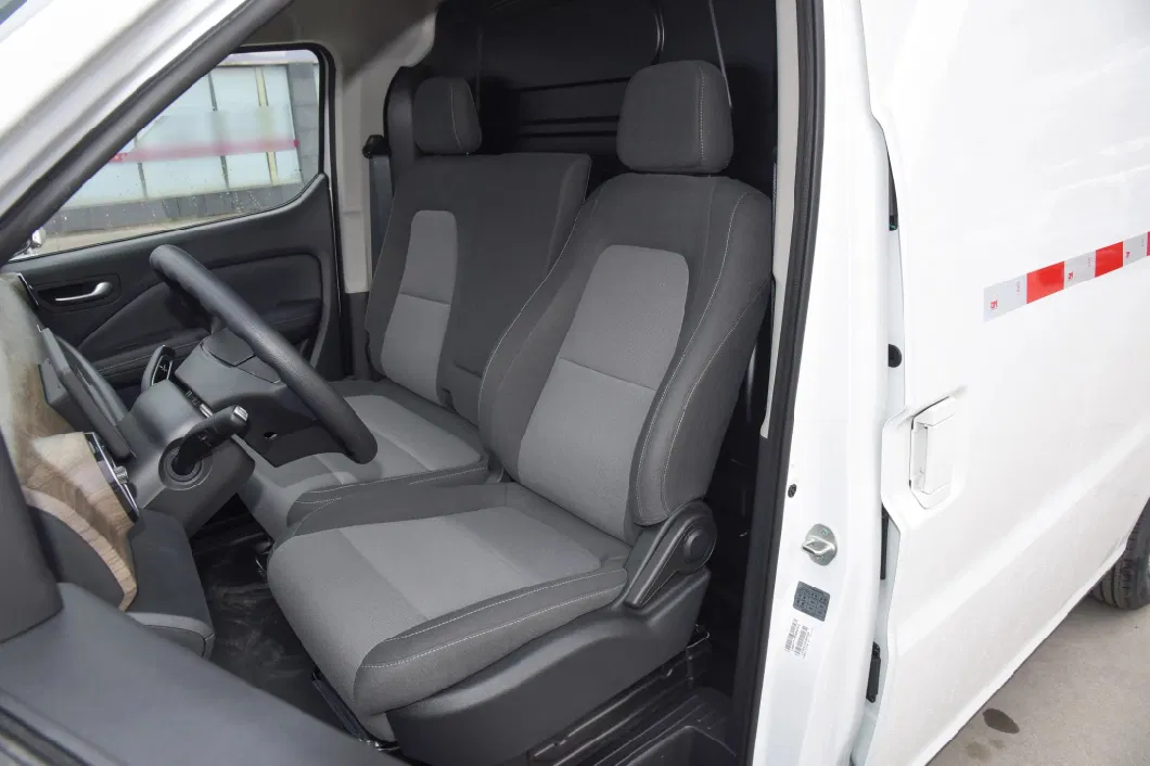 Ruichi New Energy Ec75 New Energy EV Van with Large Space