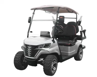 Китай высококачественная тележка для гольфа Golf Buggy VLC-A2+2wh Завод прямой Продажи