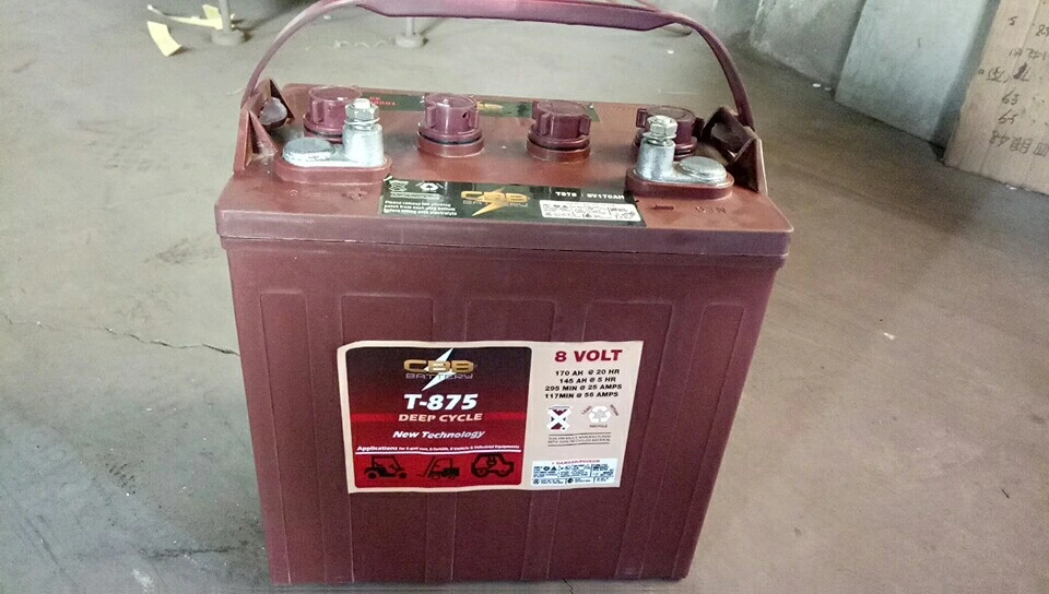 Golf Cart Batteries 8volt 190ah Trojan Quality T890ah Deep Cycle Batteries