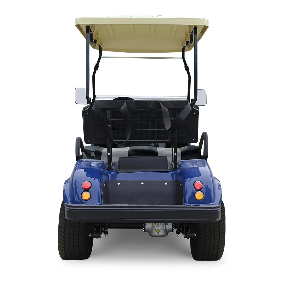 2 Seaters LiFePO4 Battery Green Golf Buggy Utility Cart