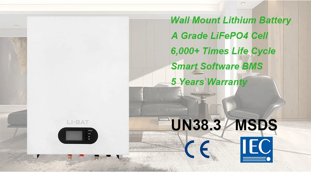 51.2V 100ah Wall Mount LiFePO4 Lithium Battery for Home Bess